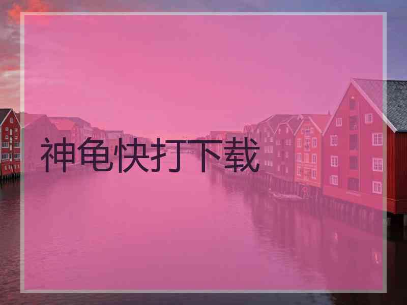 神龟快打下载