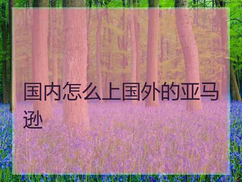 国内怎么上国外的亚马逊