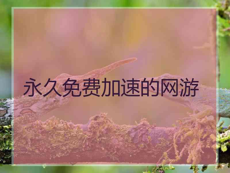 永久免费加速的网游