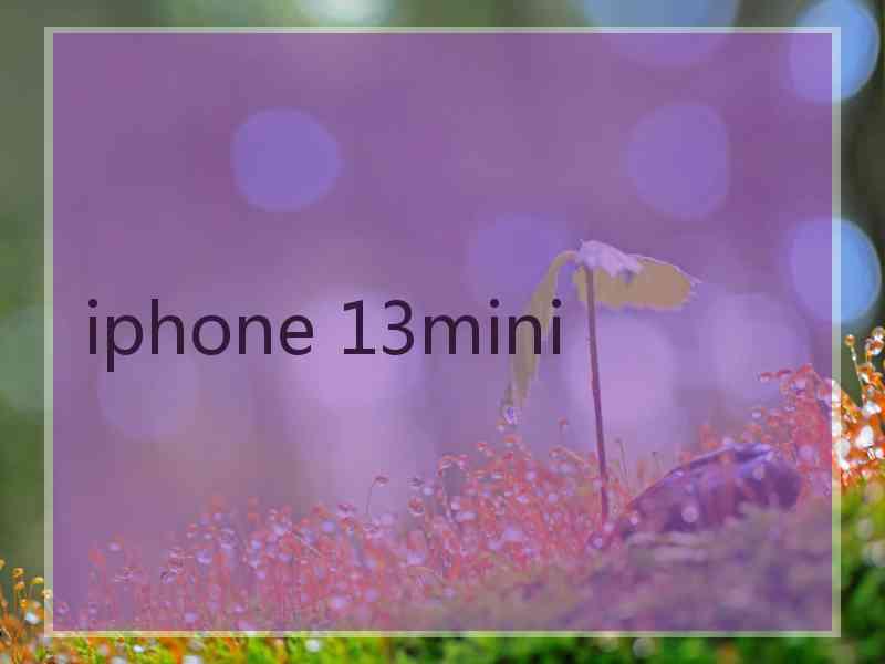 iphone 13mini