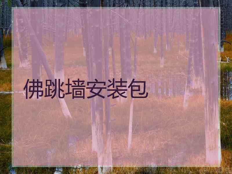 佛跳墙安装包