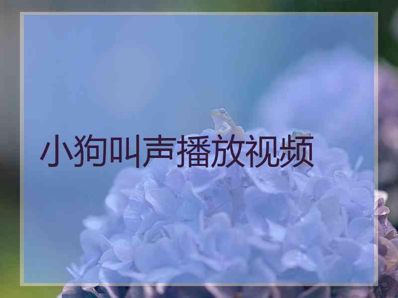 小狗叫声播放视频