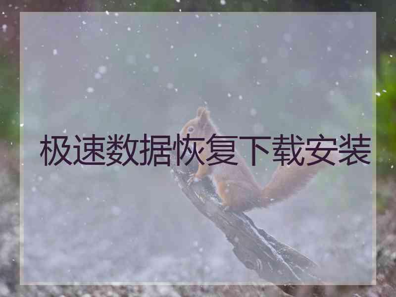极速数据恢复下载安装