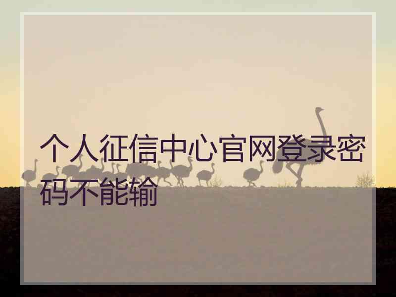 个人征信中心官网登录密码不能输