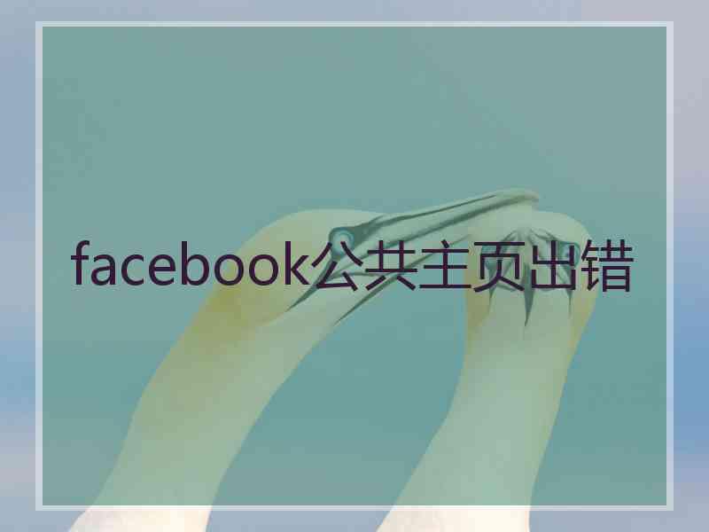 facebook公共主页出错