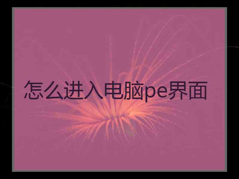怎么进入电脑pe界面