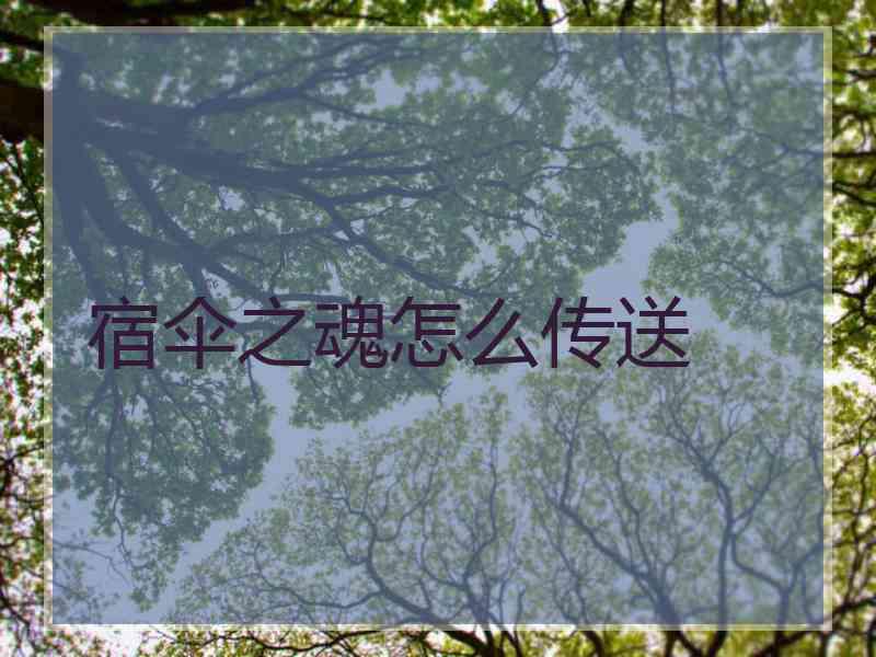宿伞之魂怎么传送