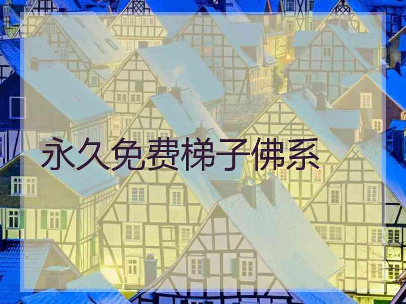 永久免费梯子佛系
