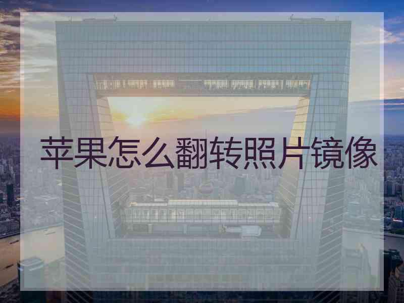 苹果怎么翻转照片镜像