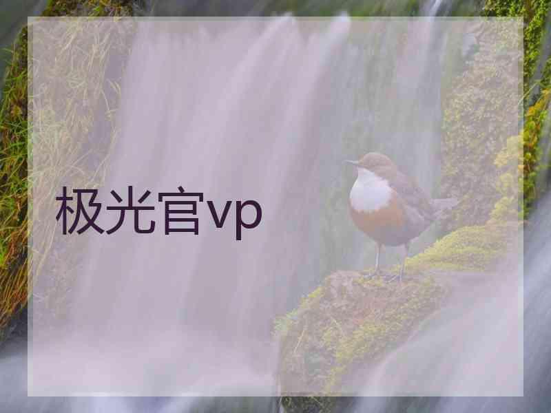 极光官vp