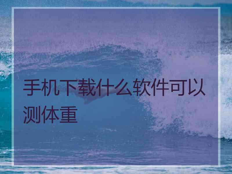 手机下载什么软件可以测体重