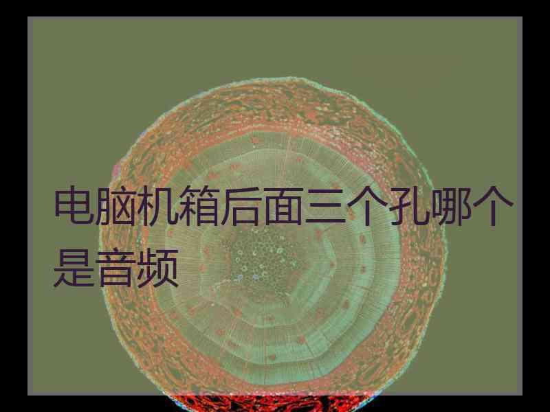 电脑机箱后面三个孔哪个是音频