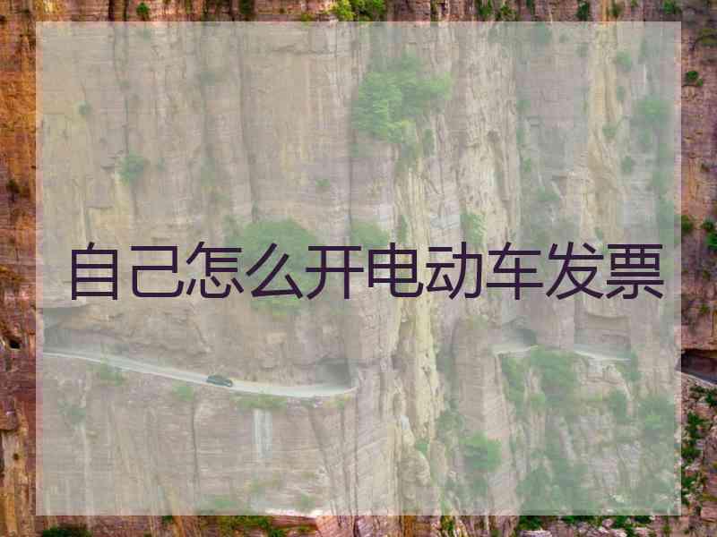 自己怎么开电动车发票