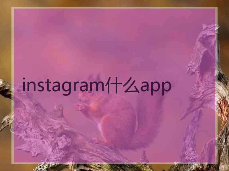 instagram什么app