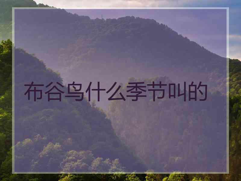 布谷鸟什么季节叫的
