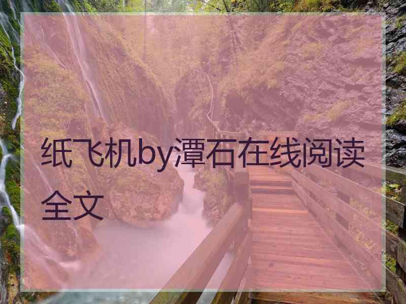 纸飞机by潭石在线阅读全文