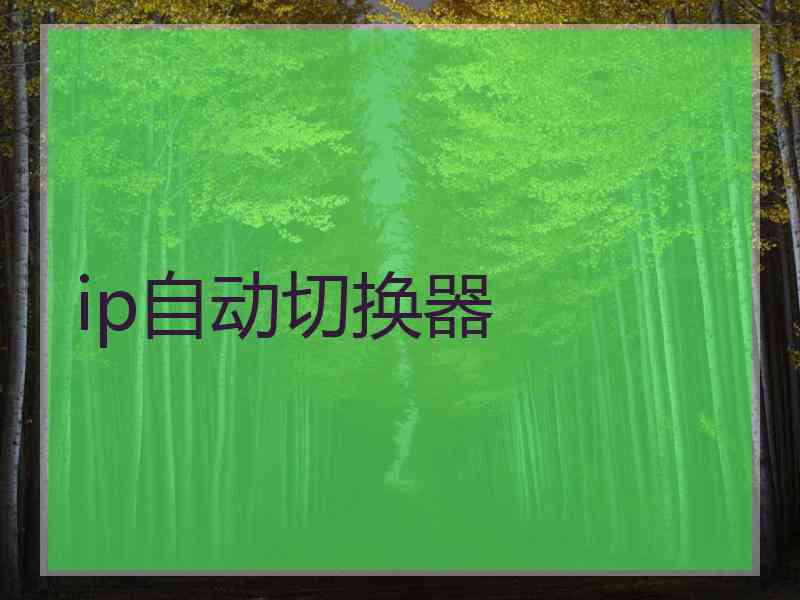 ip自动切换器