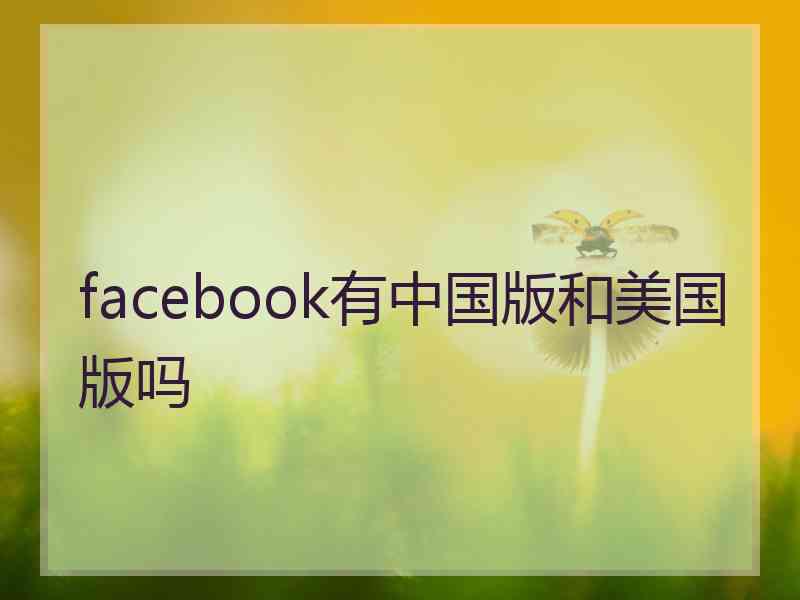 facebook有中国版和美国版吗