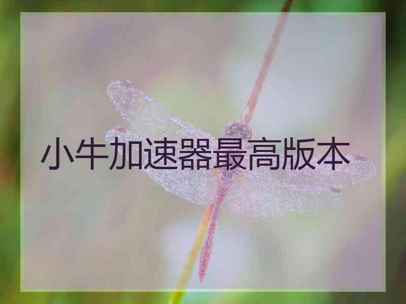 小牛加速器最高版本
