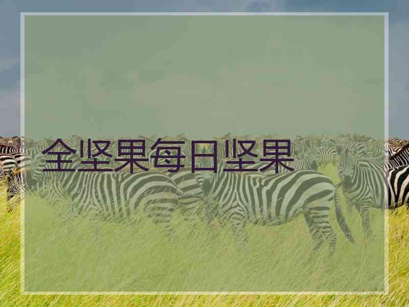 全坚果每日坚果