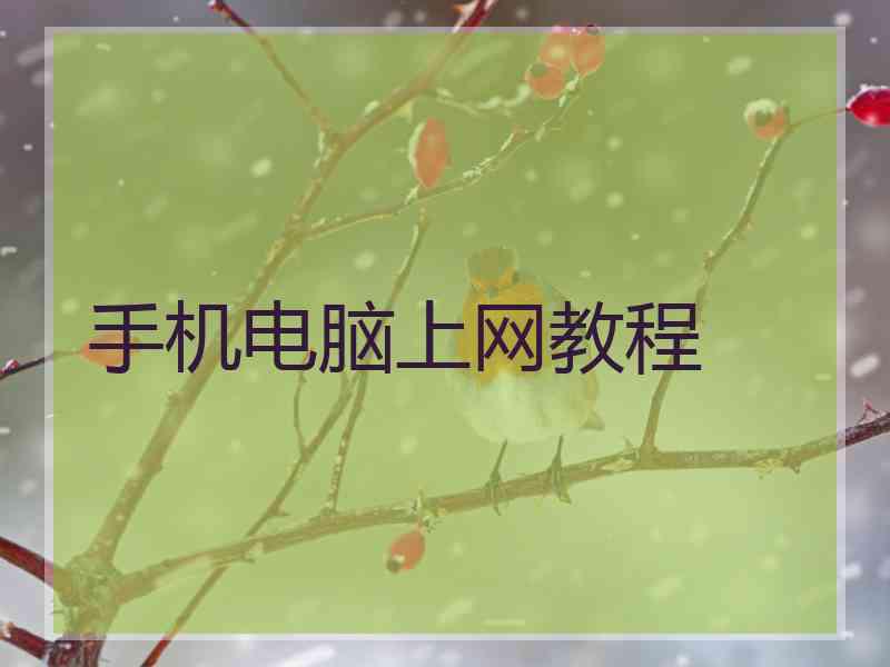 手机电脑上网教程