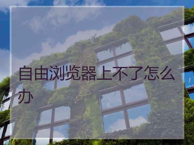 自由浏览器上不了怎么办
