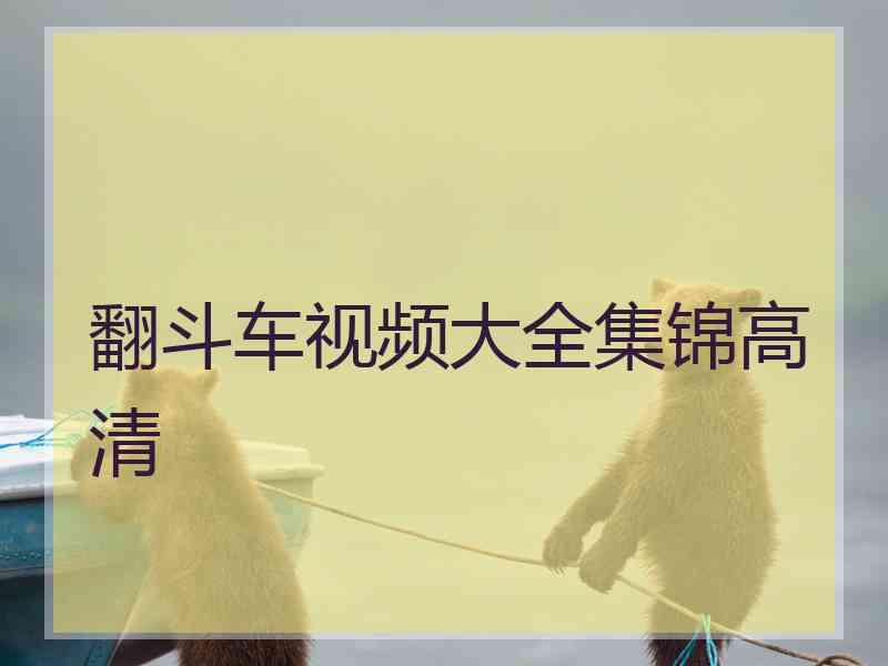 翻斗车视频大全集锦高清