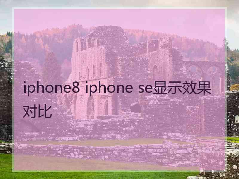 iphone8 iphone se显示效果对比
