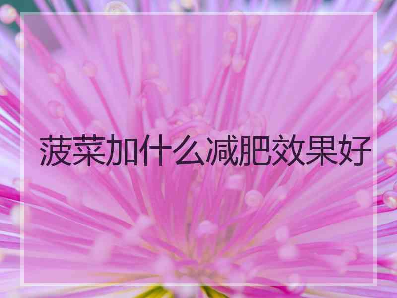 菠菜加什么减肥效果好