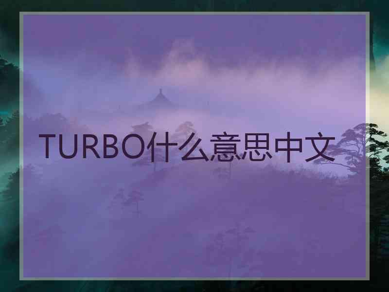 TURBO什么意思中文