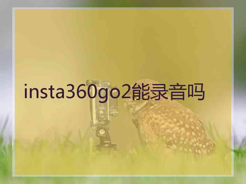insta360go2能录音吗