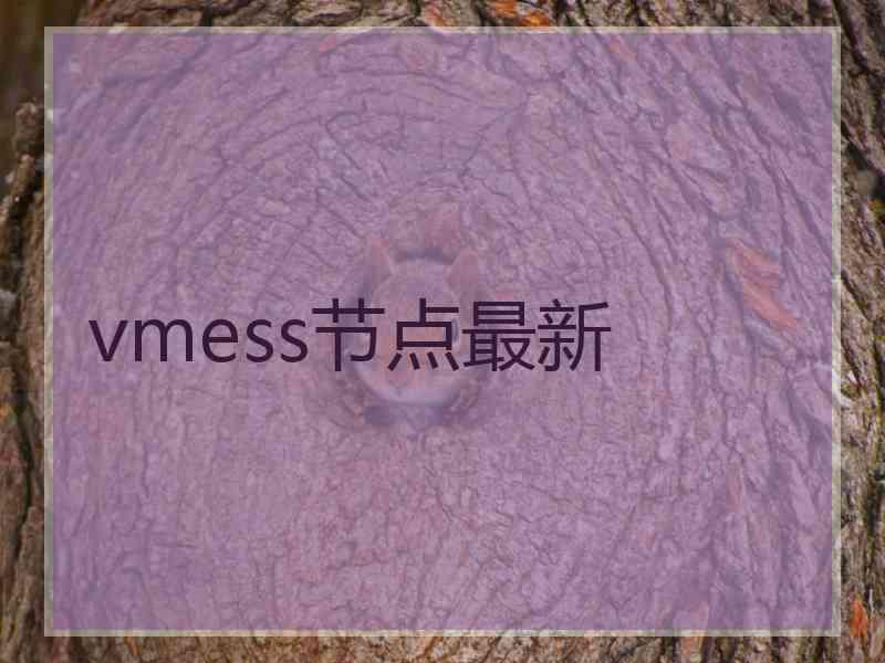 vmess节点最新