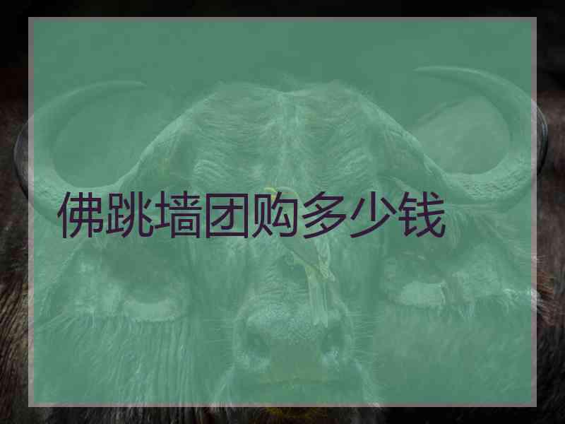 佛跳墙团购多少钱