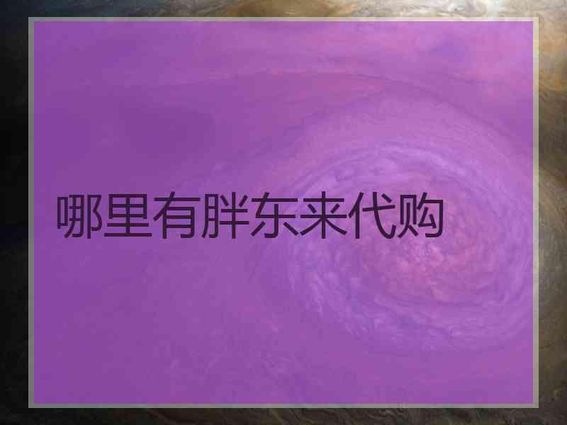 哪里有胖东来代购