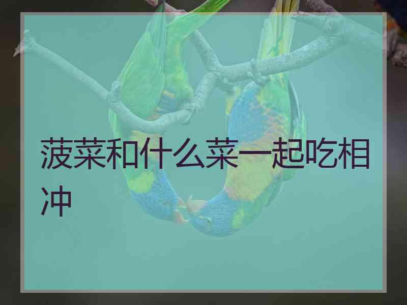 菠菜和什么菜一起吃相冲