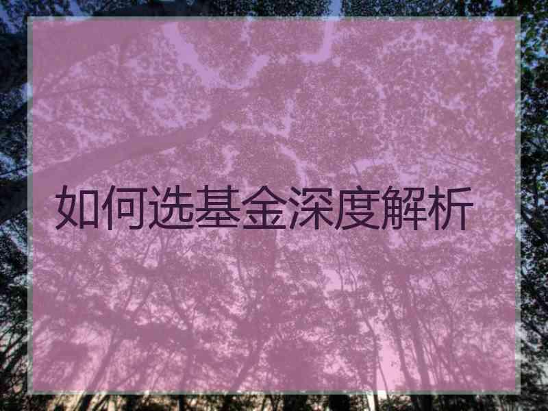 如何选基金深度解析