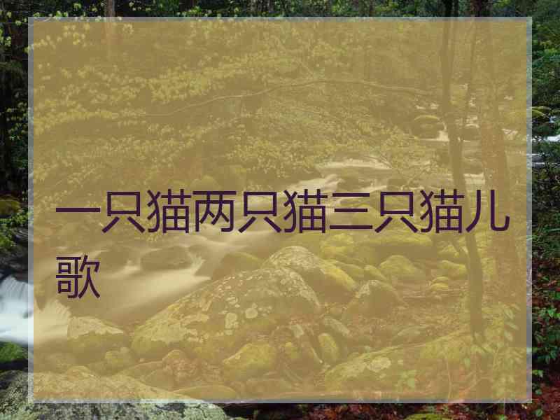 一只猫两只猫三只猫儿歌