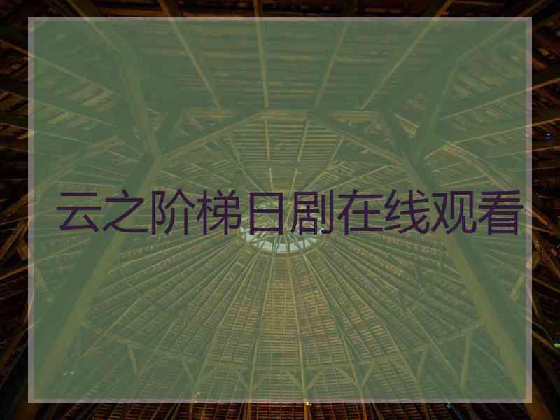 云之阶梯日剧在线观看