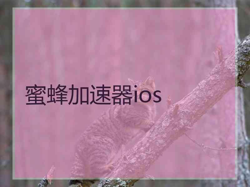 蜜蜂加速器ios