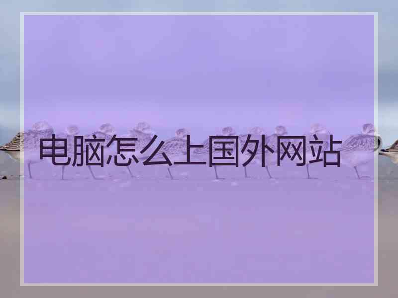 电脑怎么上国外网站