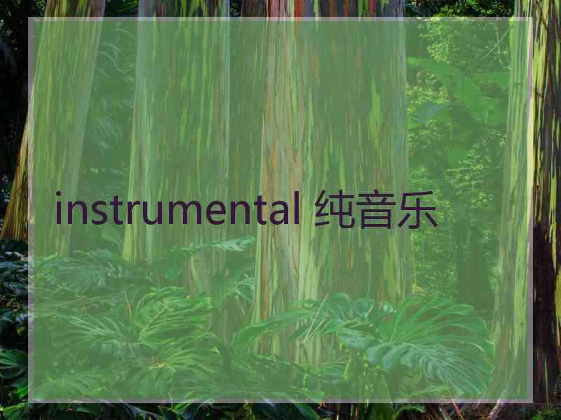 instrumental 纯音乐