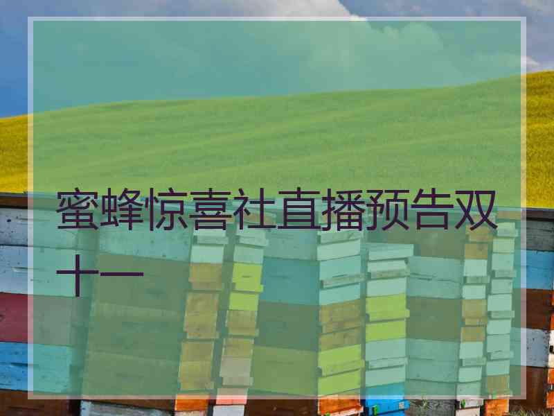 蜜蜂惊喜社直播预告双十一