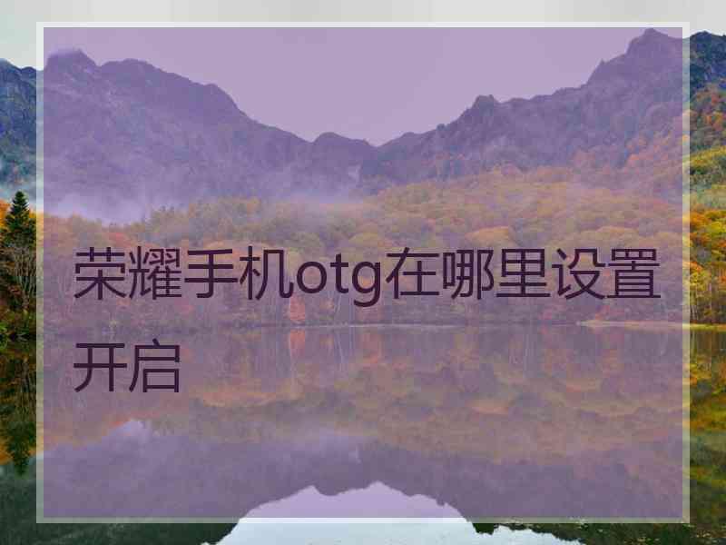 荣耀手机otg在哪里设置开启