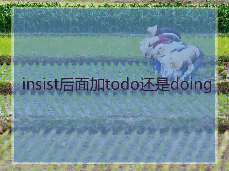 insist后面加todo还是doing