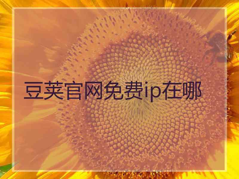 豆荚官网免费ip在哪