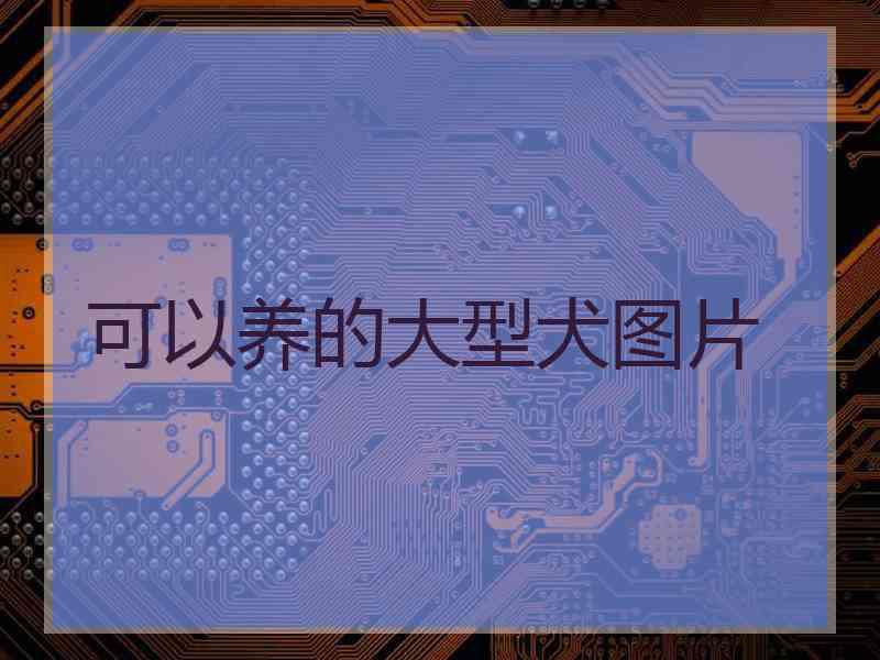 可以养的大型犬图片