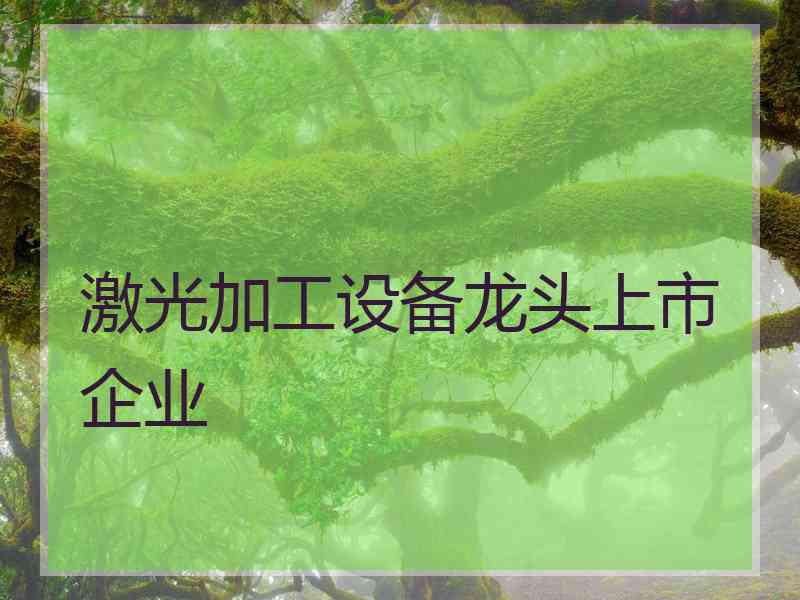 激光加工设备龙头上市企业
