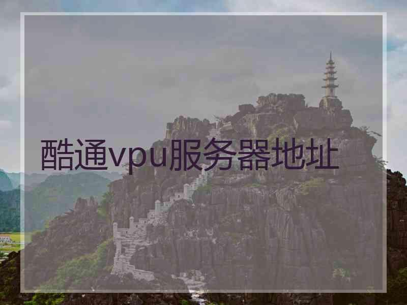 酷通vpu服务器地址