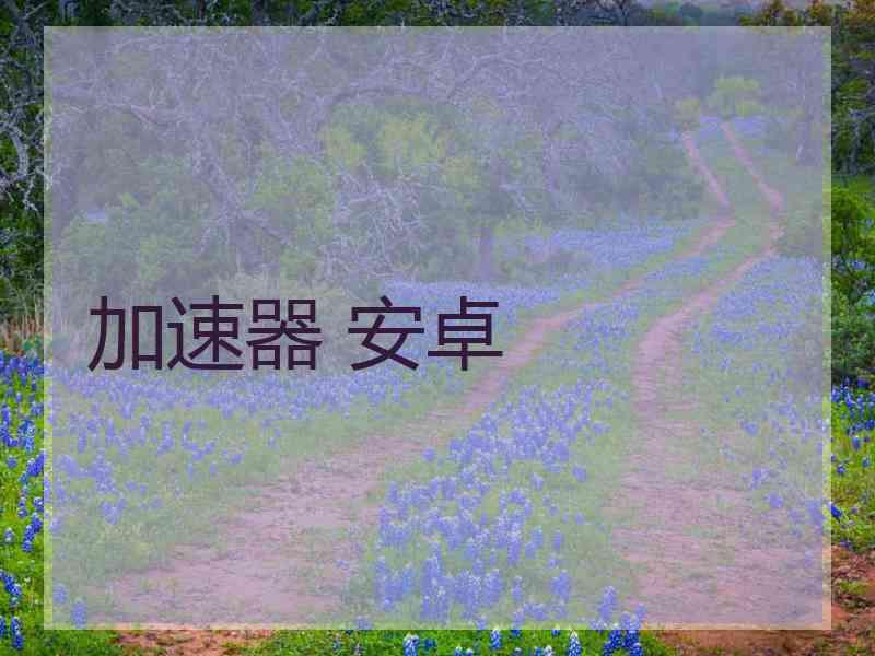 加速器 安卓