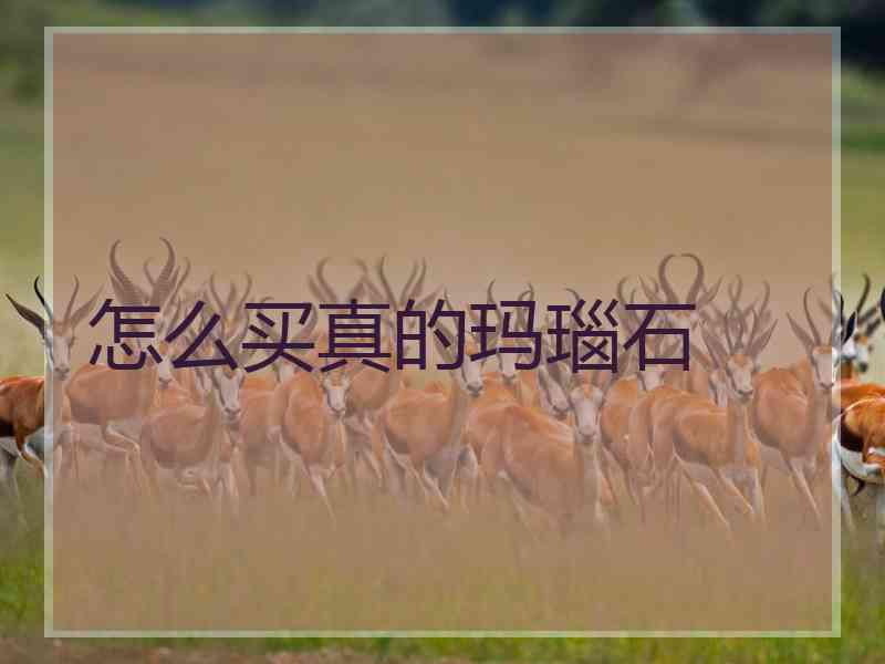 怎么买真的玛瑙石